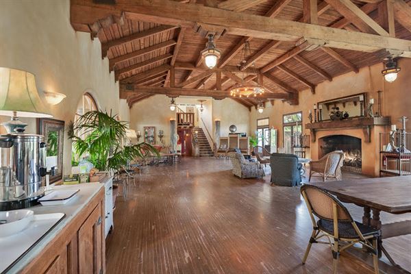 The Mountain Mermaid