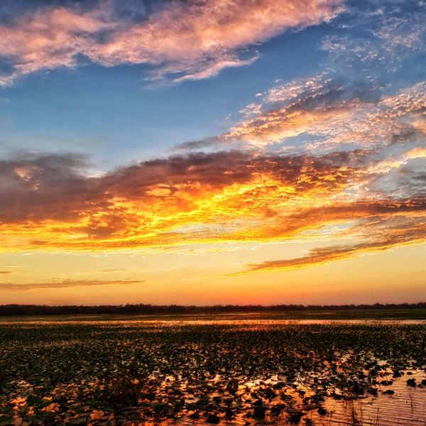 Boggy Creek Airboat Rides