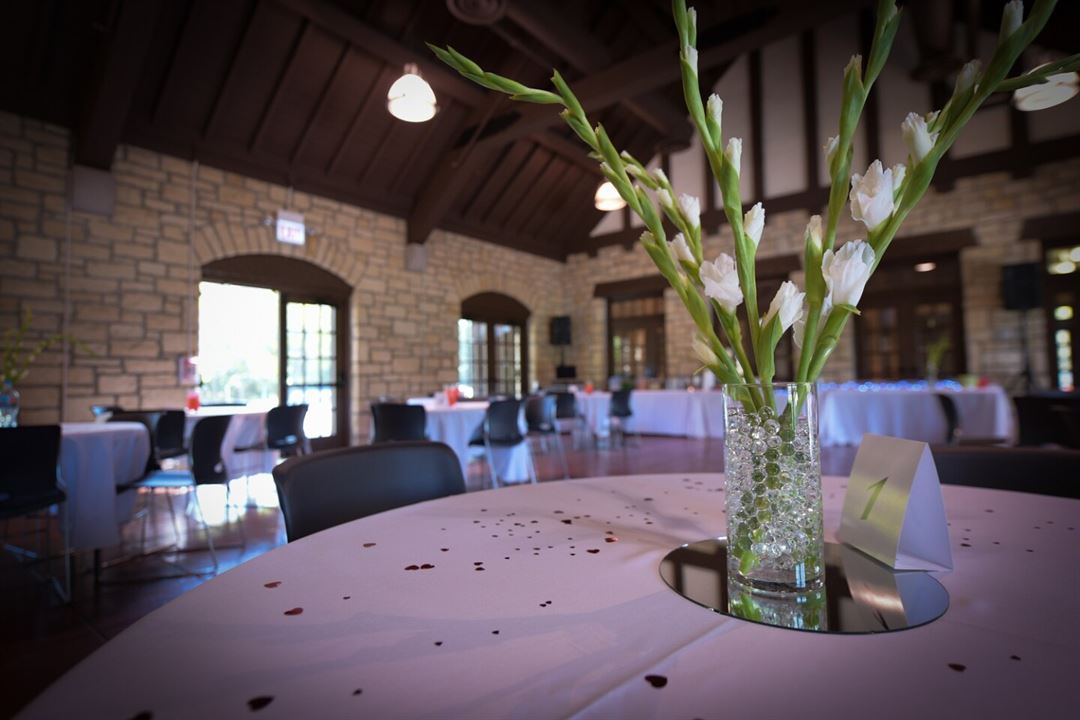 Margaret Thatcher visual data 4