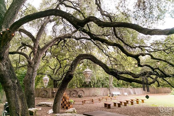 Vuka - Bouldin Creek