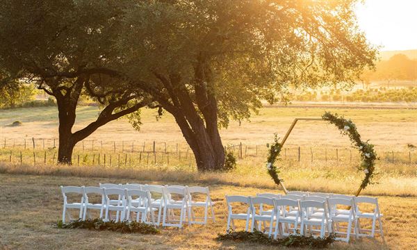 The Vineyard At Florence
