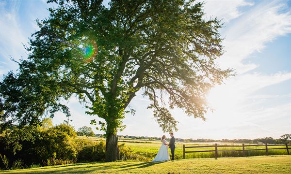 The Vineyard At Florence