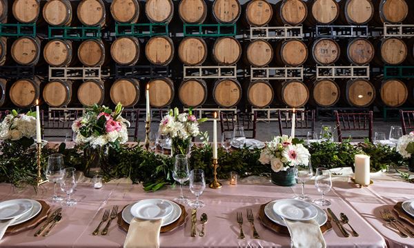 The Vineyard At Florence