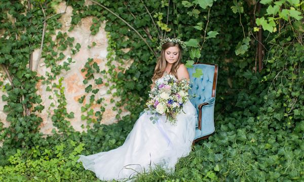 The Vineyard At Florence