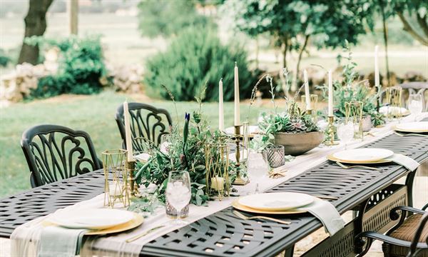 The Vineyard At Florence