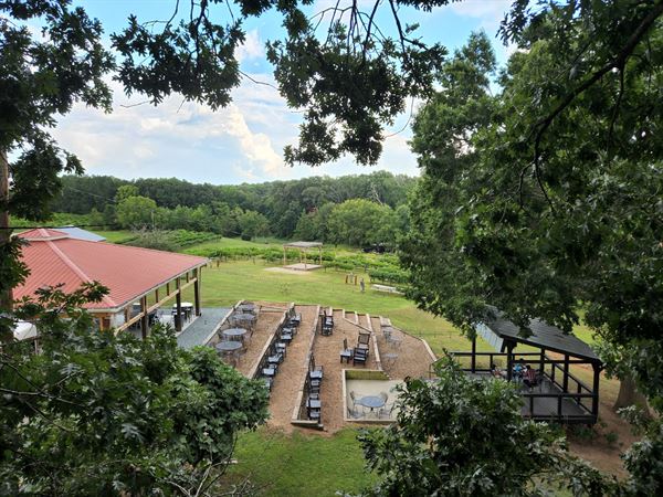 Treehouse Vineyards