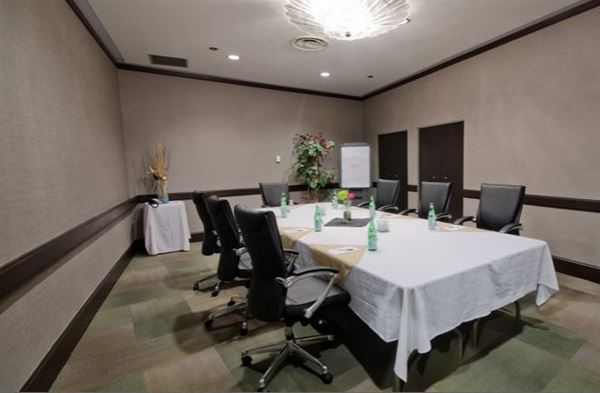 Radisson Hotel Winnipeg Downtown