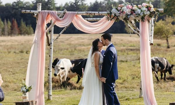 The Meadow At Red Ridge Farm
