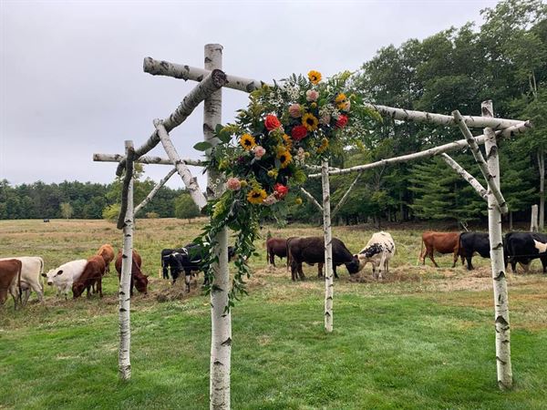 The Meadow At Red Ridge Farm