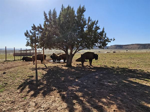 The Peacemaker Ranch