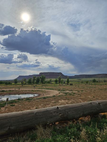 The Peacemaker Ranch
