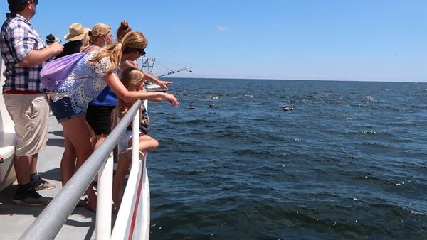 Little River Fleet, Hurricane Fleet & Coastal Scuba