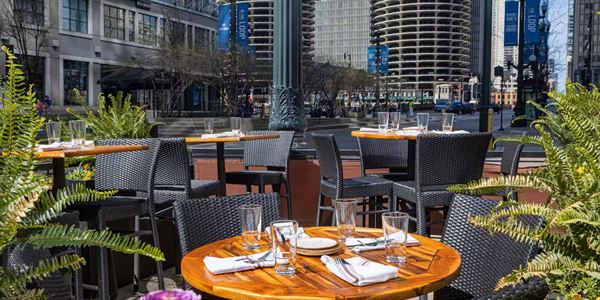 theWit -  A Hilton Hotel