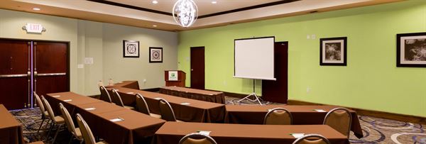 Holiday Inn Houston-Webster