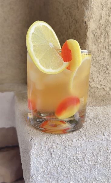 All In The Mix Mobile Bartending