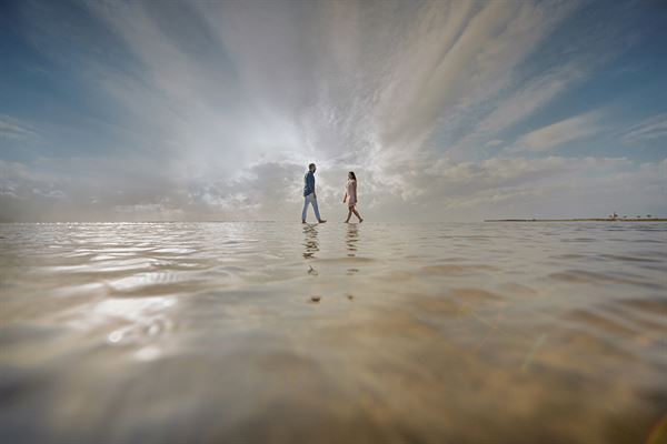 David Pezzat Photographers