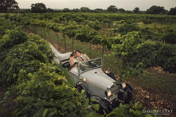 David Pezzat Photographers