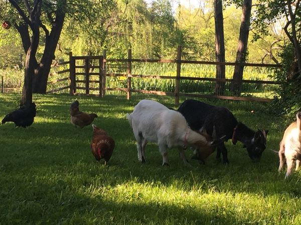 Secret Eden Outdoor Event Venue and Urban Farm