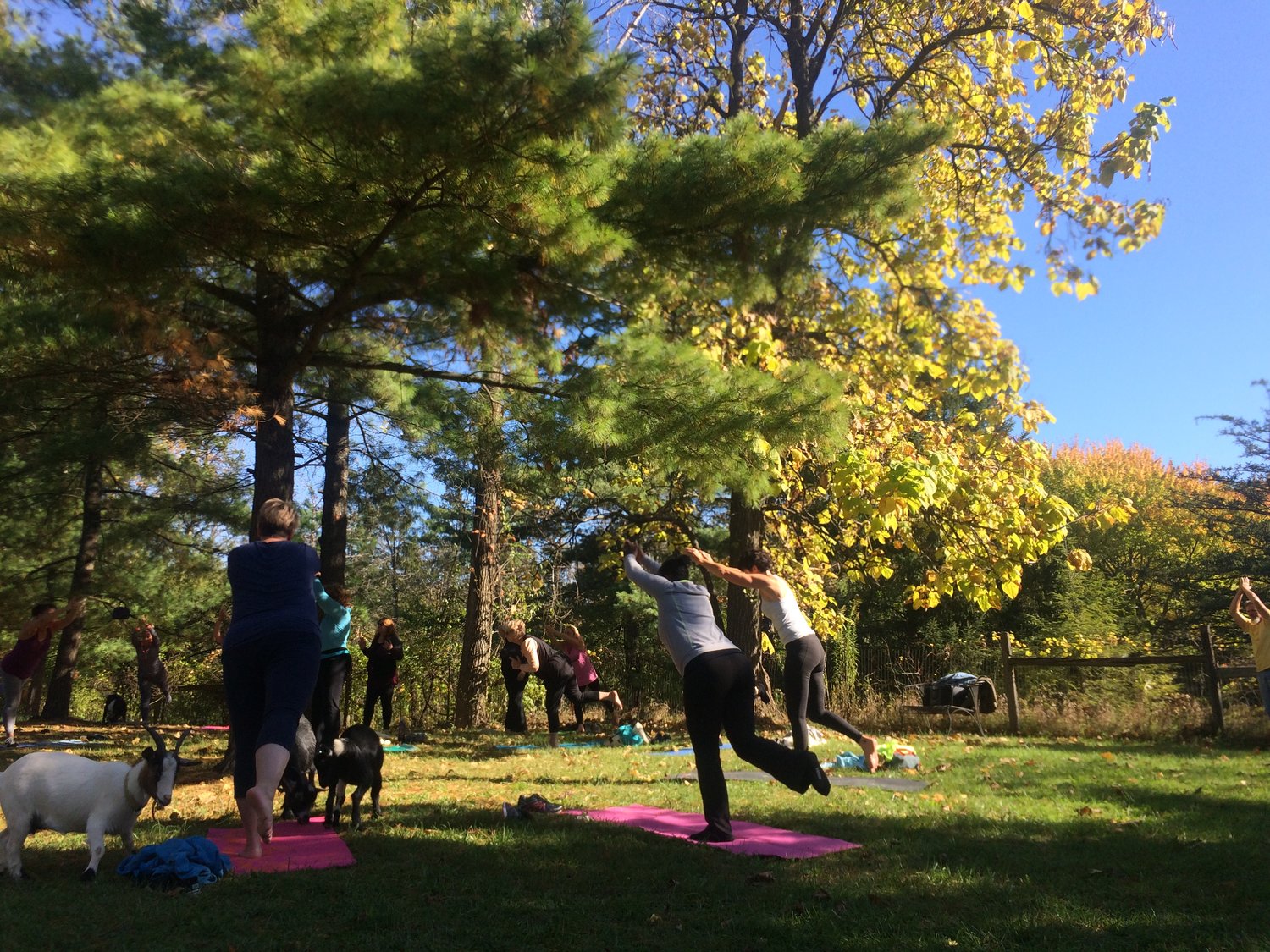 Secret Eden Outdoor Event Venue and Urban Farm