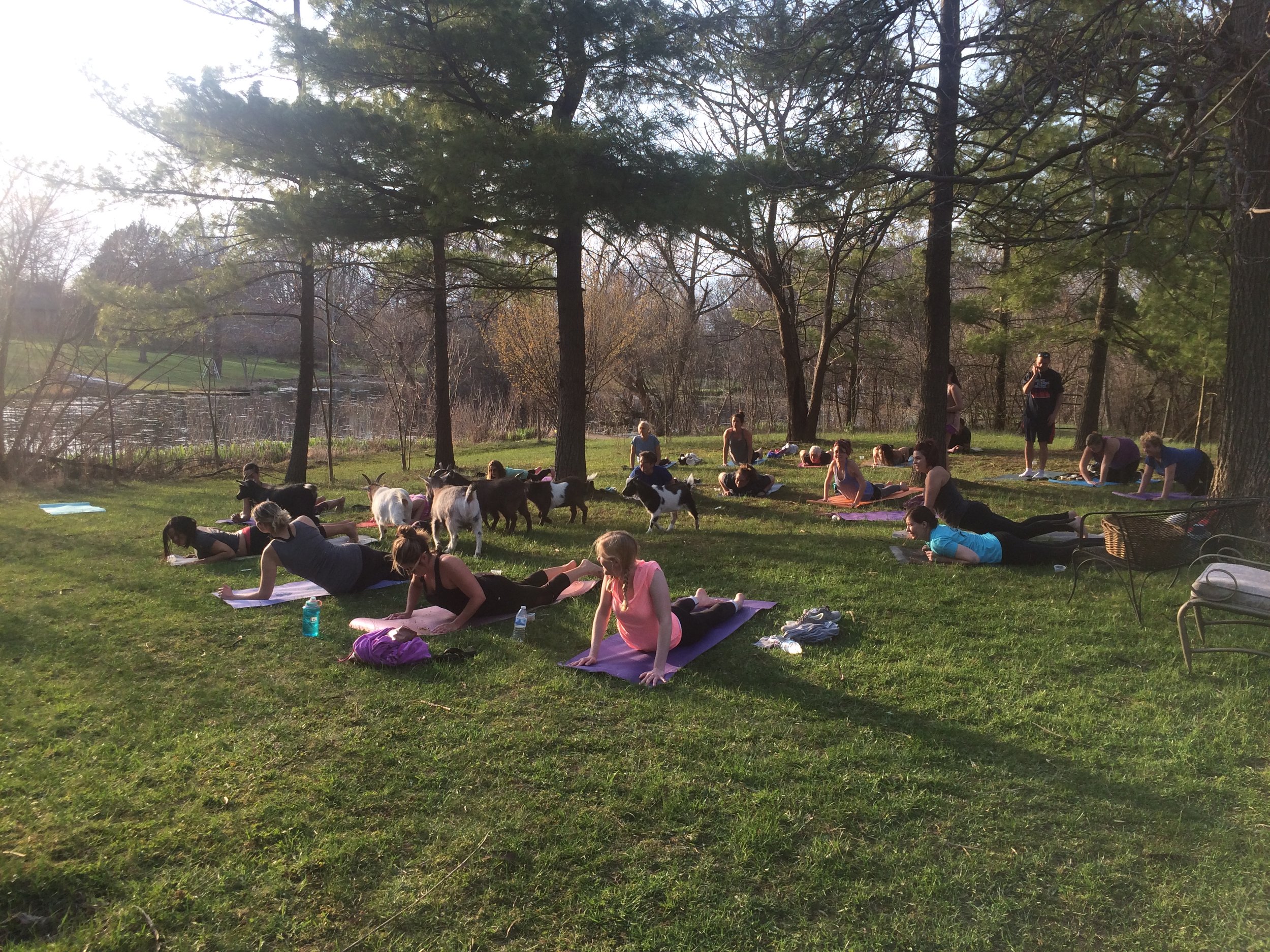 Secret Eden Outdoor Event Venue and Urban Farm