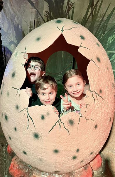 Volo Museum & Jurassic Gardens