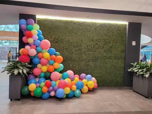 YTE Events and Balloon Decor