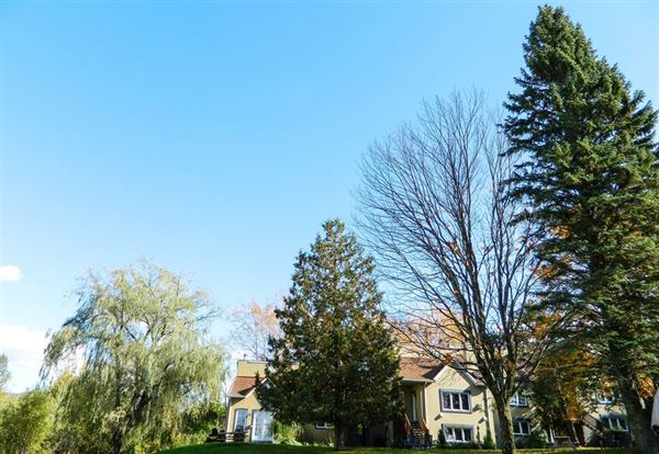 Le Montagnard Hotels & Condos