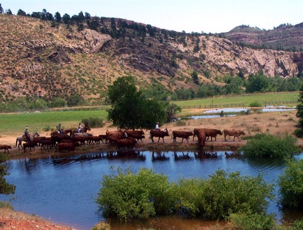 Sylvan Dale Guest Ranch