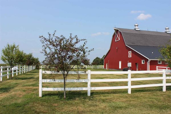 Parker Run Vineyards