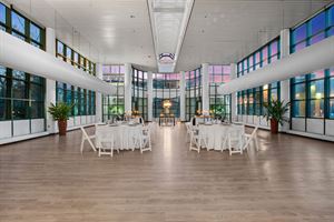 Solstice at Sentient