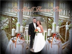 Servisphotographics Photography