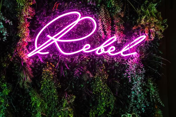 Rebel Wine Bar