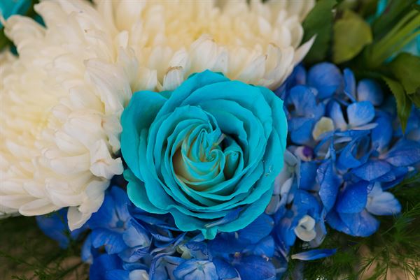 In a Lifetime Photography