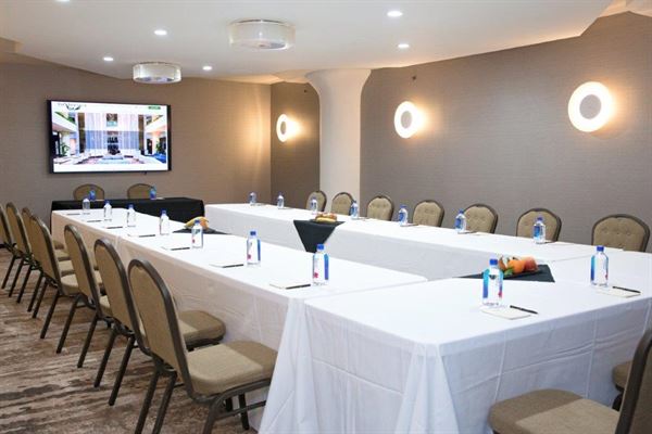 The Atheneum Suite Hotel