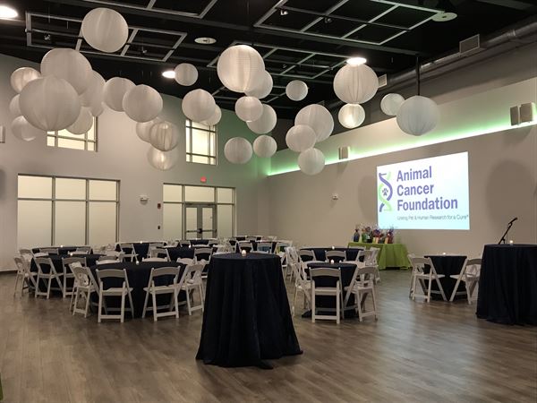 The LOFT at Chelsea Piers Connecticut