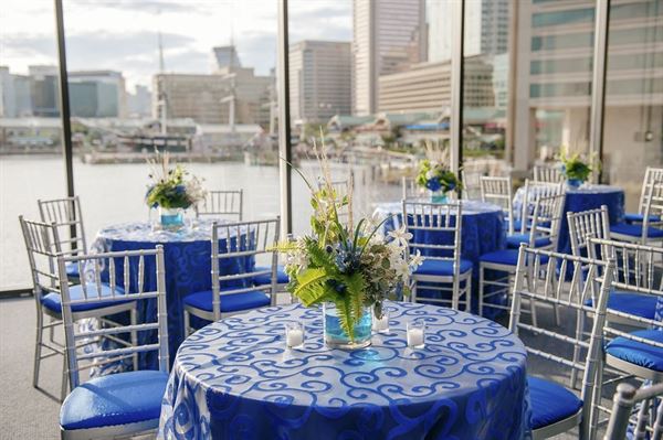 National Aquarium In Baltimore