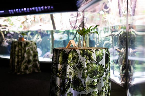 National Aquarium In Baltimore