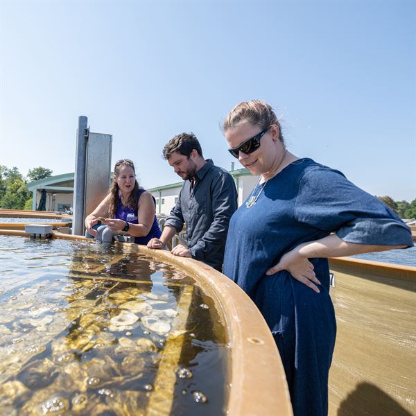 National Aquarium In Baltimore