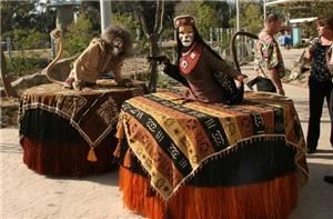 Strolling Tables San Diego Spotlight Entertainment