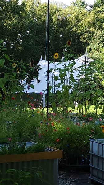 Wilmington Wedding Venue & Catering LLC.