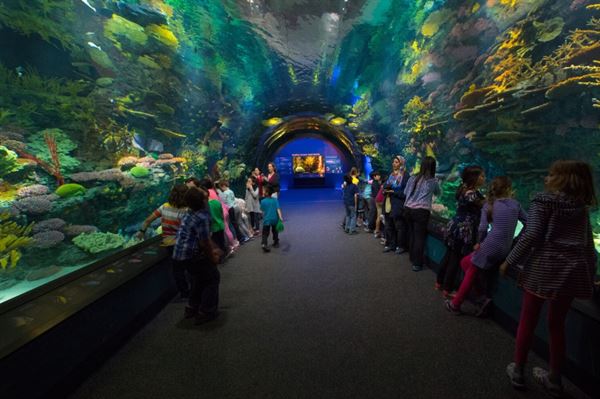 New York Aquarium
