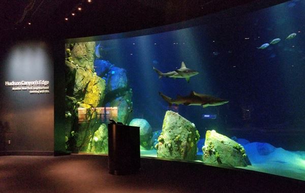 New York Aquarium