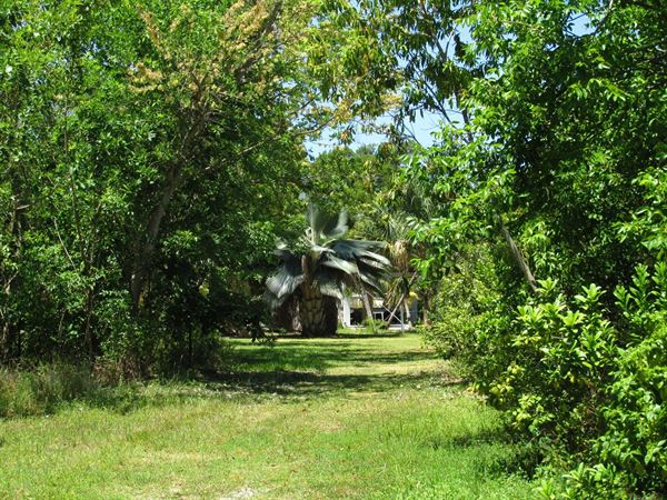Key West Tropical Forest & Botanical Garden