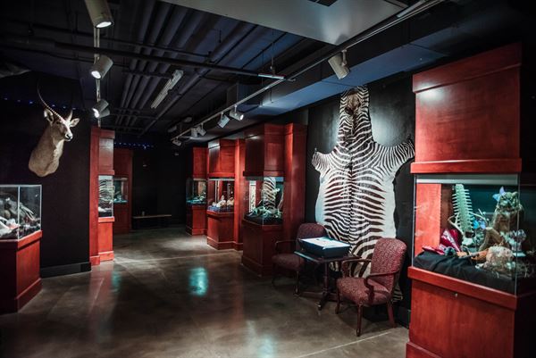 Science Museum of Western Virginia