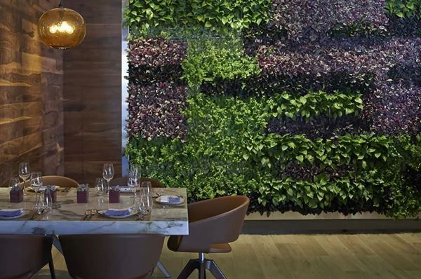 La Mar by Gastón Acurio