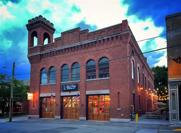 Bad Dog Brewing Company