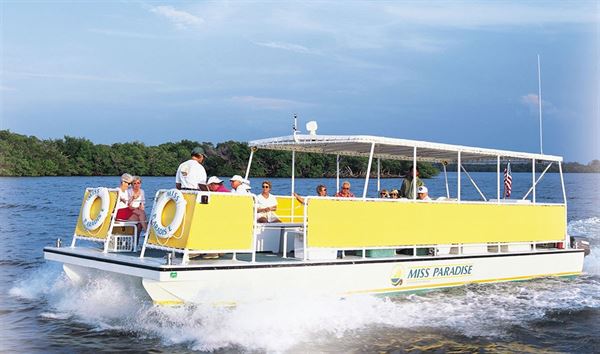 Adventures In Paradise