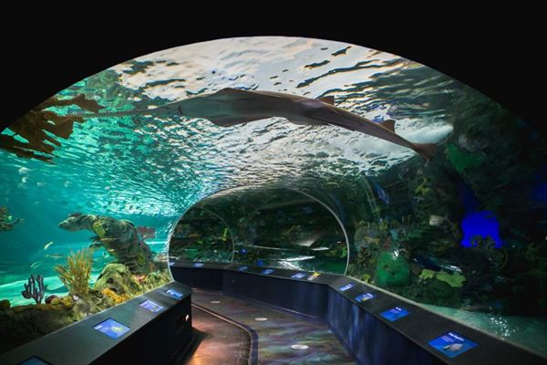 Ripley's Aquarium of Canada