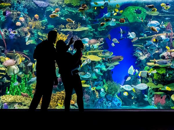 Ripley's Aquarium of Canada