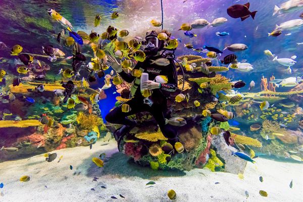 Ripley's Aquarium of Canada